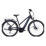 Pegasus Solero Evo 9