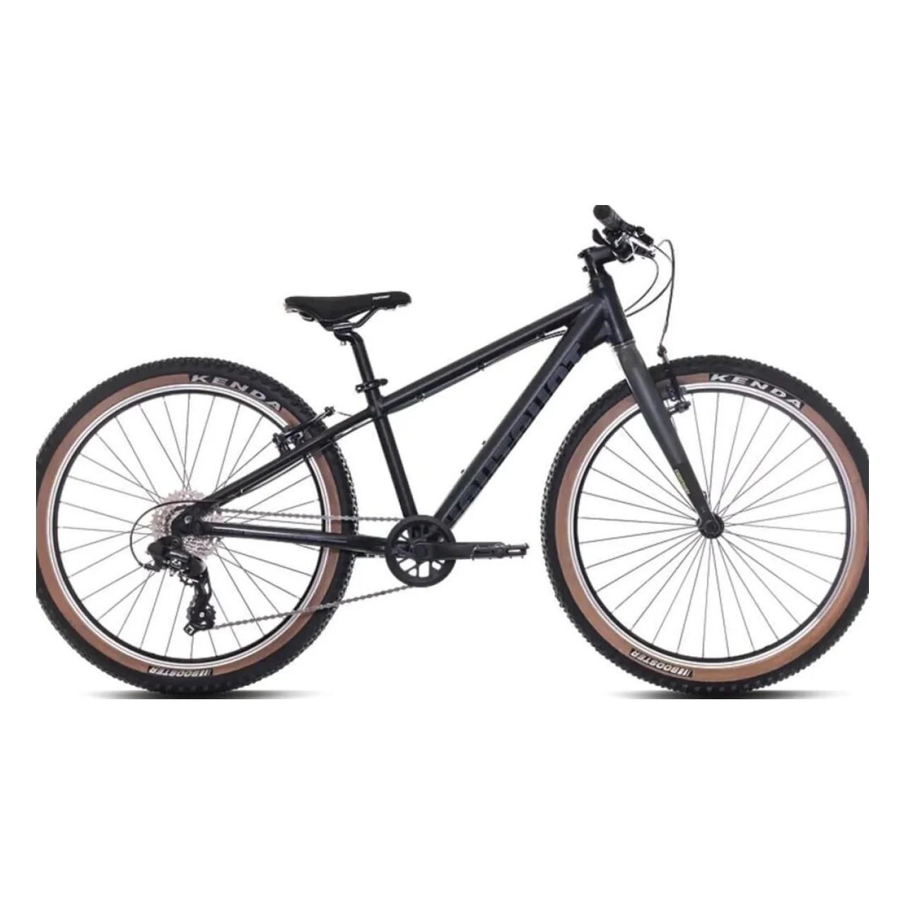Eightshot COADY 24 SL