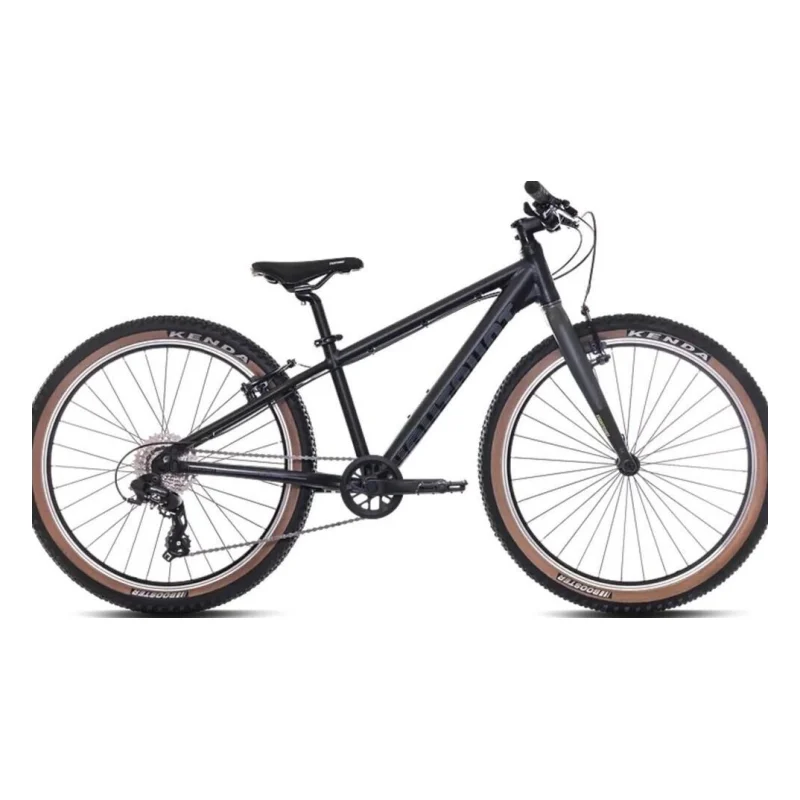Eightshot COADY 24 SL