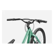 Cannondale Treadwell 2