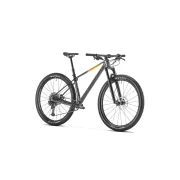 Mondraker Chrono Carbon DC R