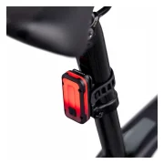 Lupine Rotlicht Pro
