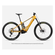 Orbea Wild H10