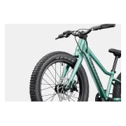 Cannondale Kids Trail Plus 20