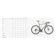 Wilier Garda Reflex 105 R7120 2x12