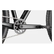 Cannondale Trail 2