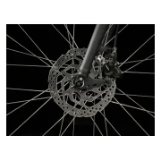 Trek Verve 3 Lowstep