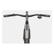 Cannondale Tesoro Neo Carbon 1