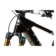 Pivot Shuttle AMP'd Team XX