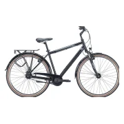 Pegasus Piazza 8