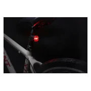 Fisher Battery Powered Lighting