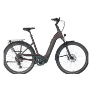Pegasus Strong Evo 10 Lite