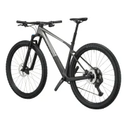 Scott Scale RC Expert