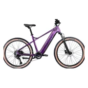 Agon Alpha Bike