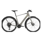 Cannondale Tesoro Neo Carbon 1