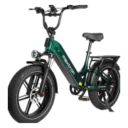 Maxtron Camel Elektrofahrrad