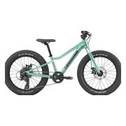 Cannondale Kids Trail Plus 20