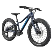 Cannondale Trail Plus