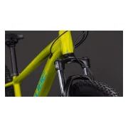 Cube Acid 260 Disc